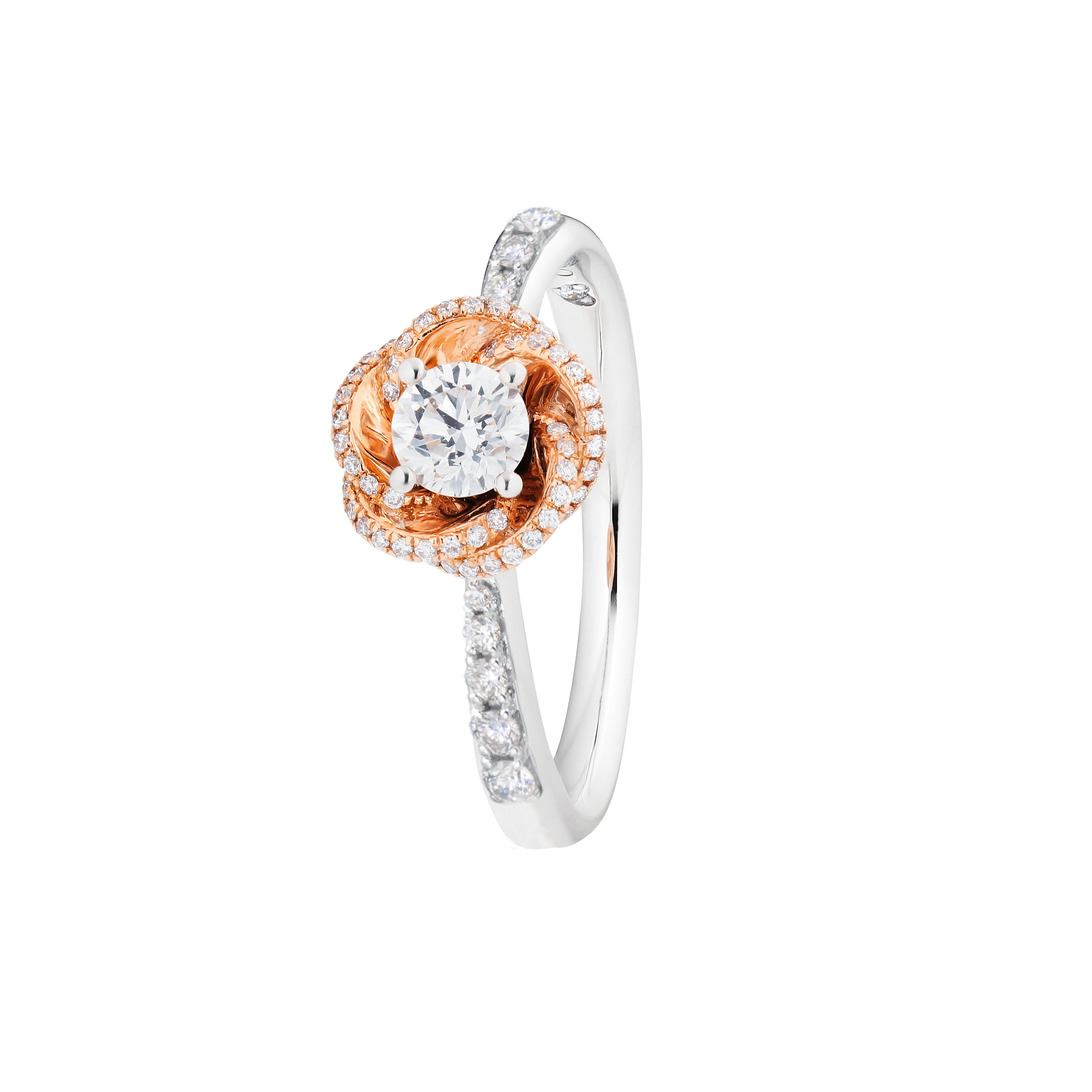 ring Rose Dream